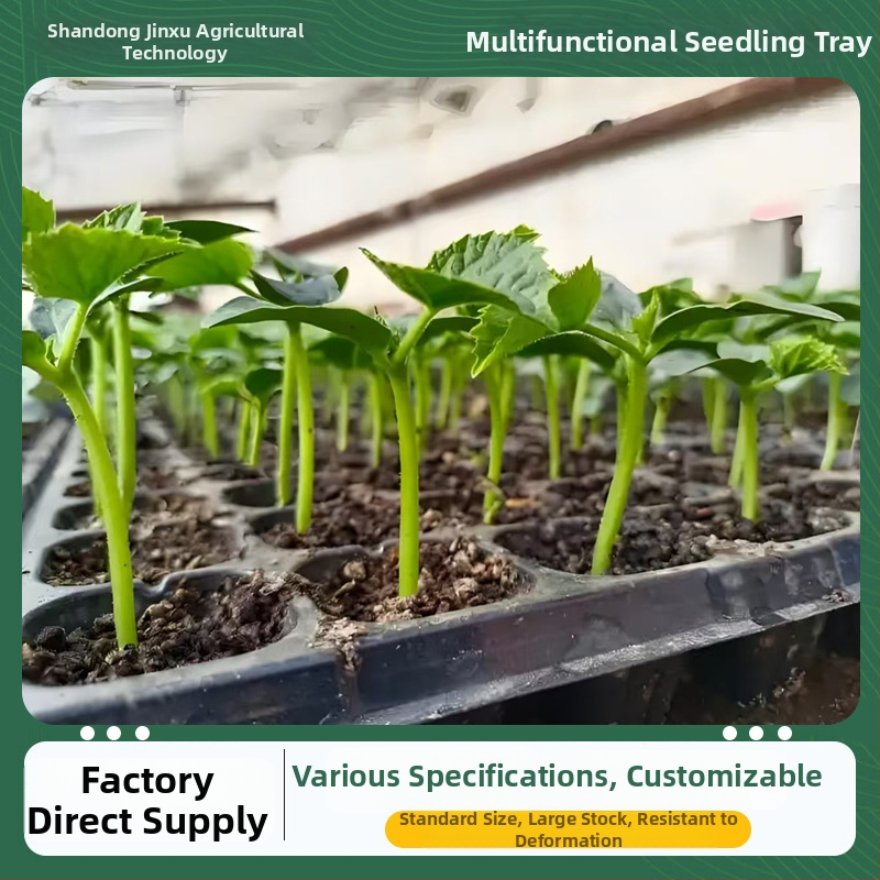 PET posuda za sadnice Seedling tray 002, za uzgoj sadnica, povrća i zelenih projekata, Jin Xu