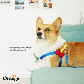 Set za pse: harnes i povodac, poliester, branda pickyorange, pakiranje 200 kom., licencirana privatna marka