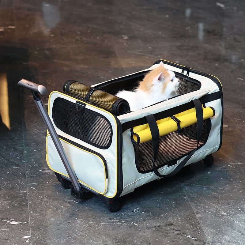 Чанта за домашни любимци – преносима сгъваема количка за кучета и котки, полиестер, капацитет 55, едноцветен дизайн, средна твърдост, подходяща за тегло 5–7 кг