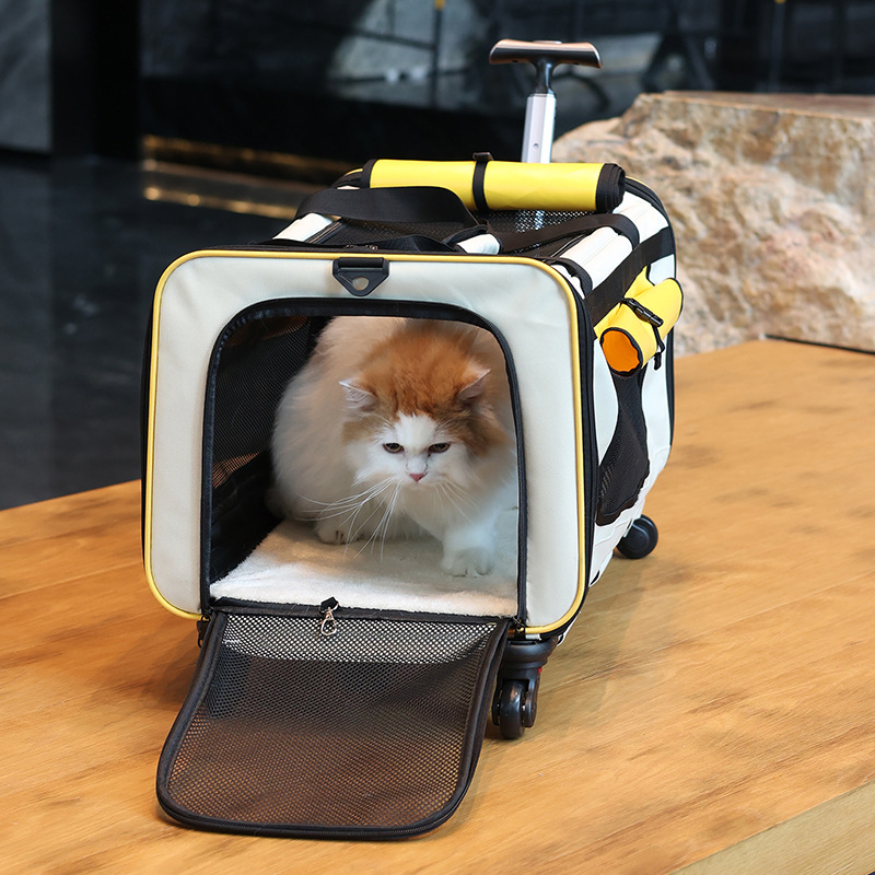 Чанта за домашни любимци – преносима сгъваема количка за кучета и котки, полиестер, капацитет 55, едноцветен дизайн, средна твърдост, подходяща за тегло 5–7 кг