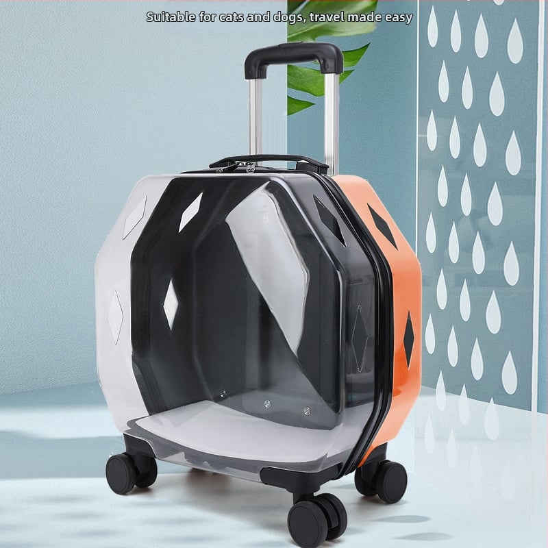 Чанта за домашни любимци – прозрачна раница, карикатурен дизайн, пластмасова конструкция, капацитет 20, твърдост: средна