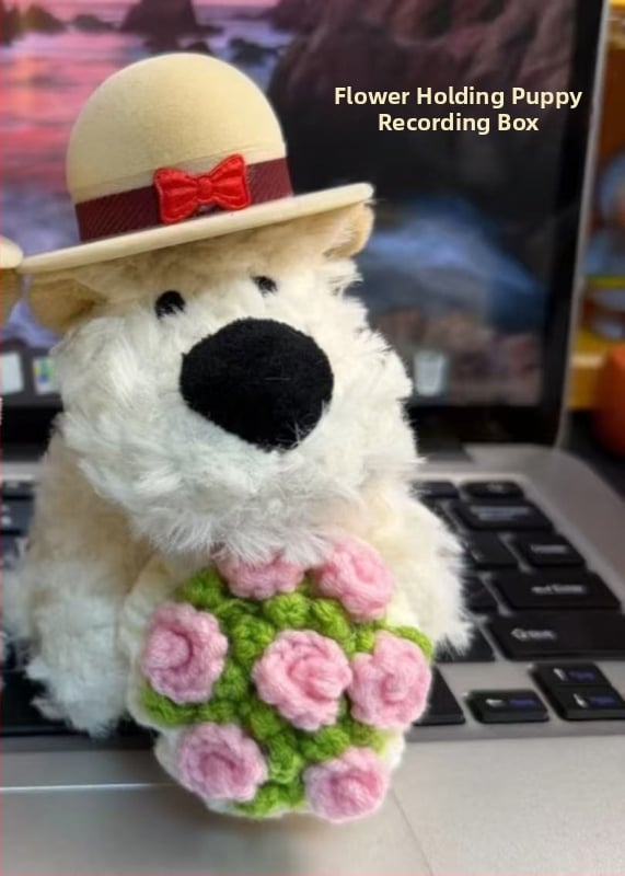 Плюшена играчка: карикатурно мече Теди, напълнено с PP памук, висококачествен плюш, многофункционална, за възраст 14+, унисекс