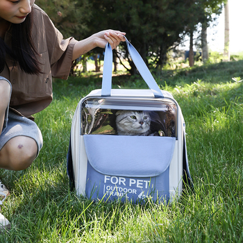 Чанта за домашни любимци от Oxford плат, голям капацитет 10, карикатурен принт, преносима с единична презрамка