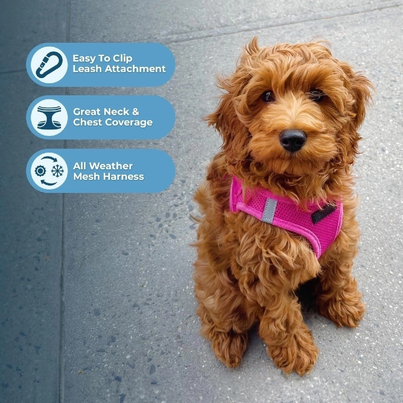 Pseći prsni i leđni harnes, mrežasta prozračna tkanina, reflektirajuća jakna, nije rastezljiv