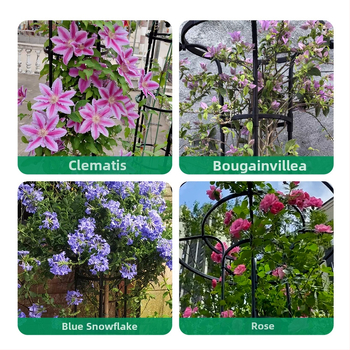 Stalak za cvijeće u obliku kišobrana za penjačke ruže i vinovu lozu, galvanizirana čelična cijev s plastičnim premazom, za vanjsku uporabu