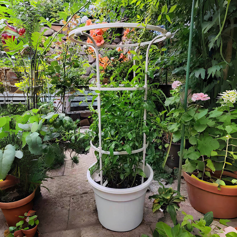 Stalak za cvijeće u obliku kišobrana za penjačke ruže i vinovu lozu, galvanizirana čelična cijev s plastičnim premazom, za vanjsku uporabu