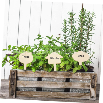 Ξύλινες ετικέτες φυτών από boxwood, μάρκα Great success, κατηγορία Φυτά, στυλ Σύγχρονη Απλότητα