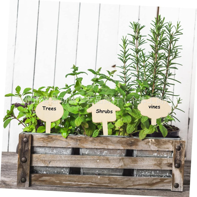 Ξύλινες ετικέτες φυτών από boxwood, μάρκα Great success, κατηγορία Φυτά, στυλ Σύγχρονη Απλότητα