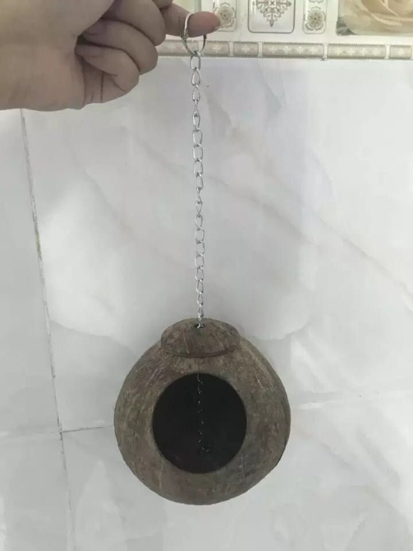 Drveno gnijezdo za hamstere za razmnožavanje, porijeklo Hainan Wenchang
