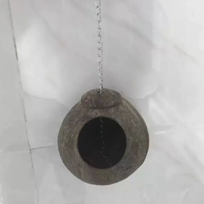 Drveno gnijezdo za hamstere za razmnožavanje, porijeklo Hainan Wenchang