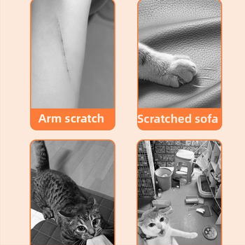 Πίνακας γρατσουνίσματος γάτας, πολυεστέρας, 50 τεμάχια ανά κιβώτιο, στυλ καρτούν, μάρκα: Άλλη