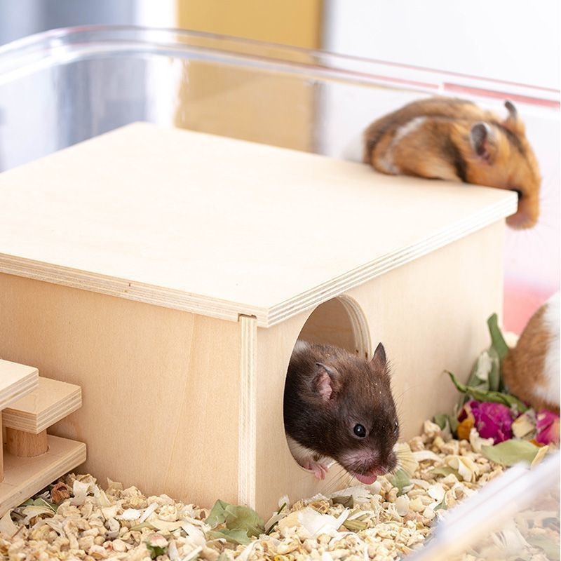 Drvena kućica za hamstera – prirodni stil, pravokutnog oblika, unutarnja upotreba, za hamstera, odmor i skrivanje