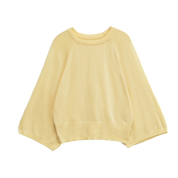 Sviter – pulover stil, street hipster, poliester, dugi rukavi, ljeto 2025