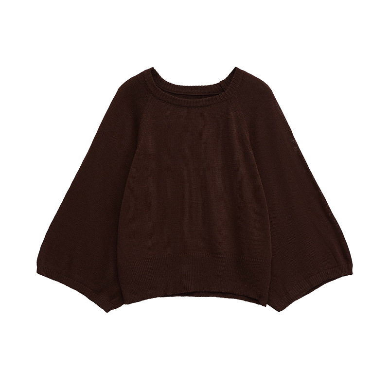 Sviter – pulover stil, street hipster, poliester, dugi rukavi, ljeto 2025