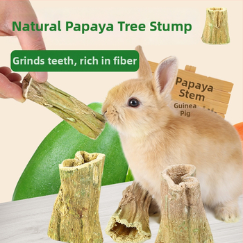Bețișor de mestecat din lemn de papaya pentru animale mici — tulpină de papaya, jucărie naturală; Brand: Consultation