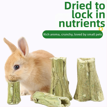 Bețișor de mestecat din lemn de papaya pentru animale mici — tulpină de papaya, jucărie naturală; Brand: Consultation