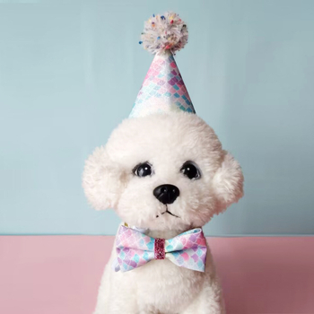 Κολάρο με θέμα γοργόνα για κατοικίδια και καπέλο γενεθλίων – διακόσμηση πάρτι για σκύλους και γάτες (πολυεστέρας, μάρκα AWM, γενική χρήση, τέσσερις εποχές)