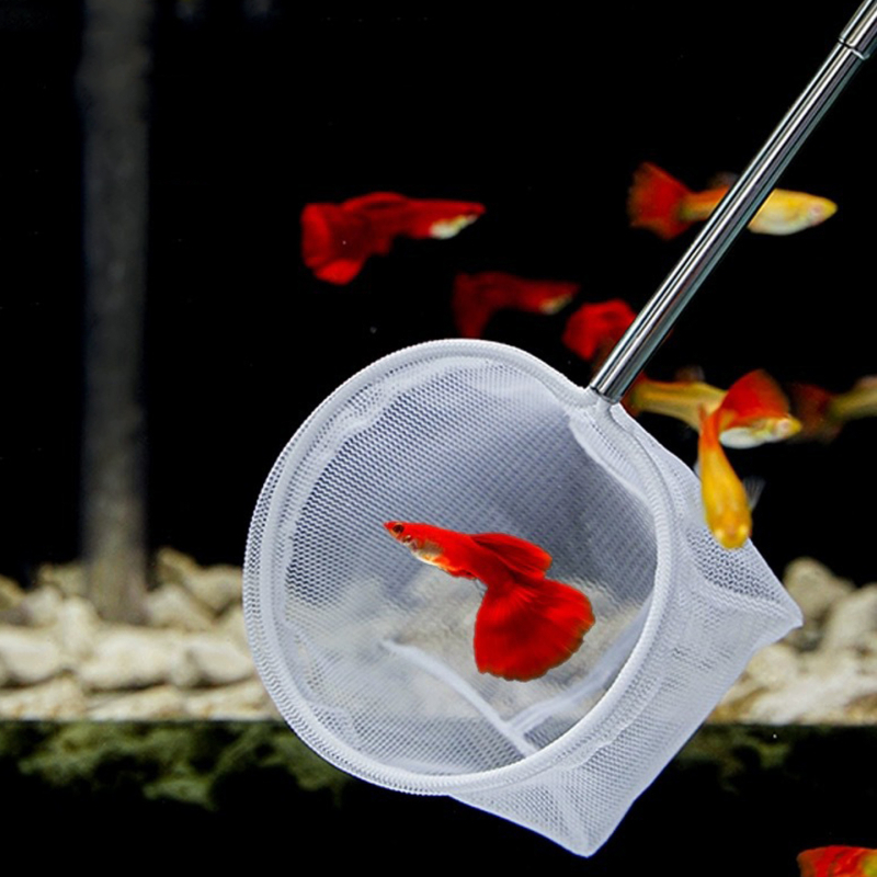 Easy δίχτυ ψαριών ενυδρείου, αναδιπλούμενο, 0.1 kg