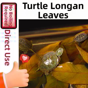 Декорация за хабитат на костенурки с Longan Leaf, пластмасова, мъхов микро-ландшафт, 50 г, 50 бр. в кутия