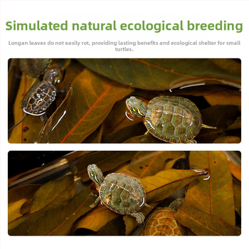 Декорация за хабитат на костенурки с Longan Leaf, пластмасова, мъхов микро-ландшафт, 50 г, 50 бр. в кутия