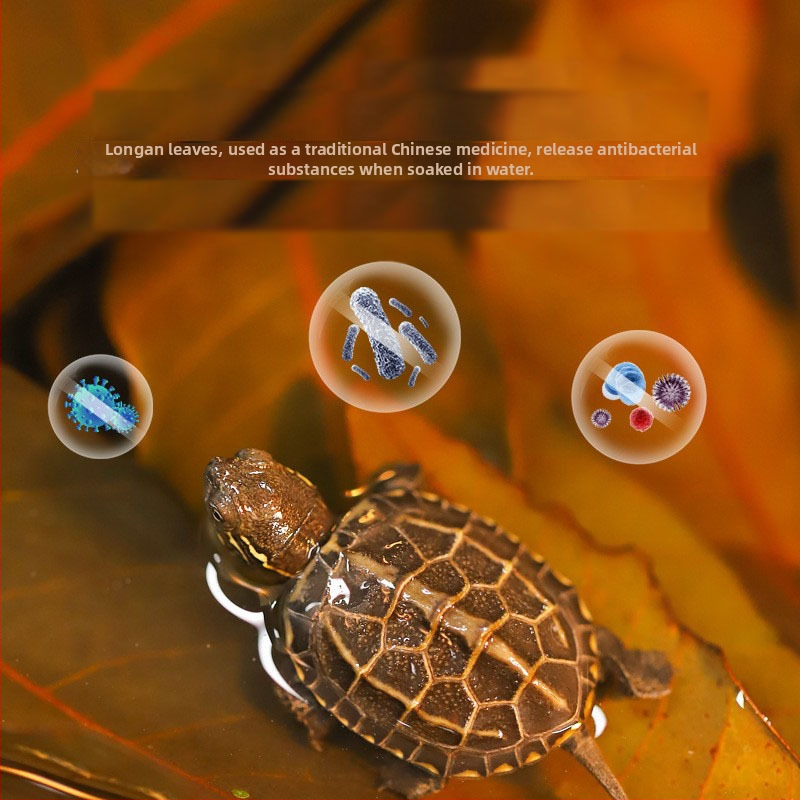 Декорация за хабитат на костенурки с Longan Leaf, пластмасова, мъхов микро-ландшафт, 50 г, 50 бр. в кутия