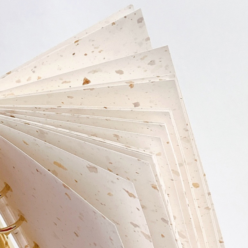 Pagină interioară pentru refill loose-leaf – hârtie de cafea reciclată; import: Nu; autorizare IP: Nu