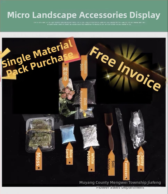 DIY set za mikro pejzaž s mahovinom – drveni elementi, poluproizvod, logo Jiafeng micro-landscape, marka druga, nije uvoz