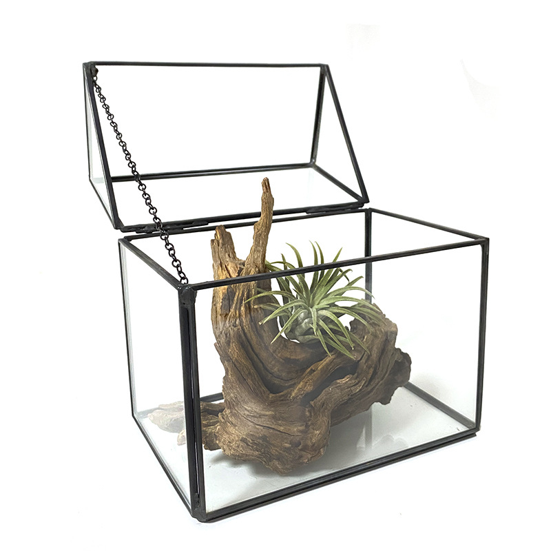 Sere din sticlă în formă de casă pentru flori veșnice — cub geometric, peisaj miniatural