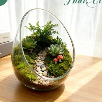 Микроландшафтна бутилка с мъх – DIY екологично стъкло за офис декор, високо боросиликатно стъкло, поставка