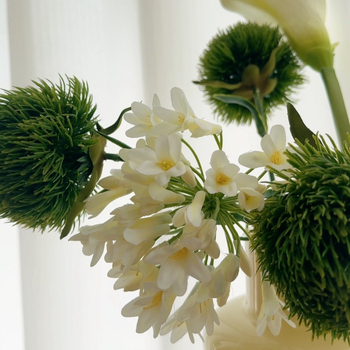 Dendrobium orhideja umjetni cvijet u vazi, aranžman za dnevnu sobu, hair-styling tehnika, materijal: plastika, Dong Rui