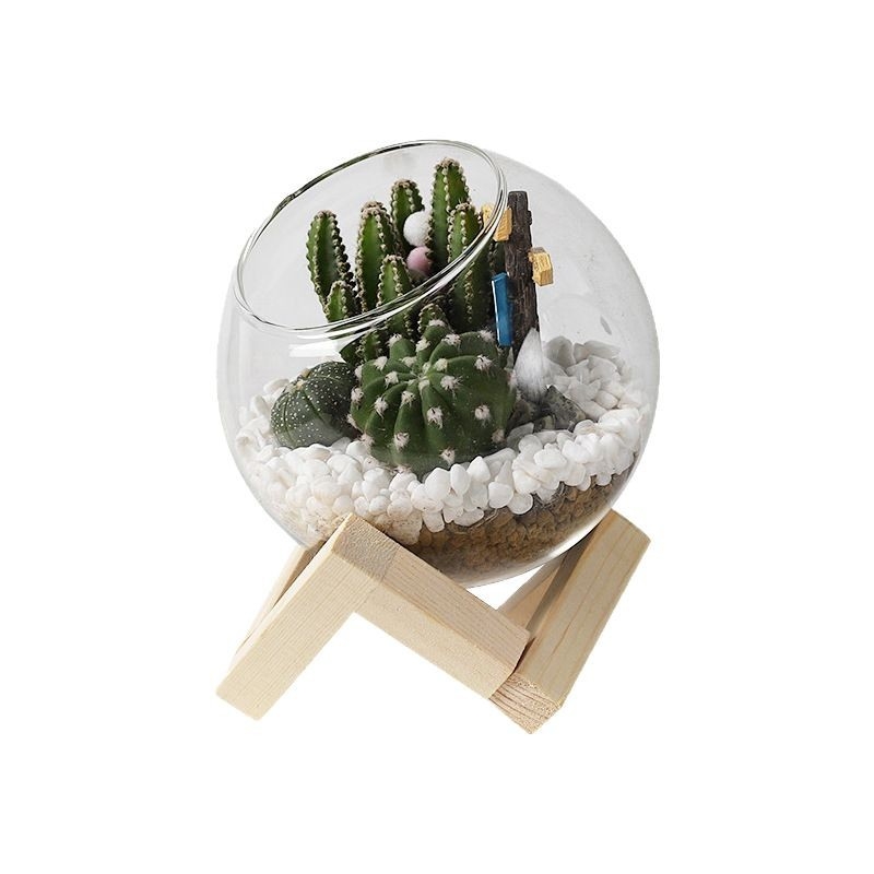 Moss Micro-Landscape σε γυάλινο Terrarium – Xuanyi, Γυαλί υψηλής αντοχής (borosilicate), Επιτραπέζια προβολή, Ατομικά συσκευασμένο σε PP σακούλα