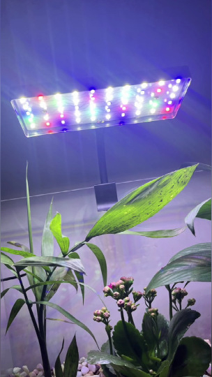 LED klipsa za akvarij, 8W, energetski učinkovit, potpuno spektra za vodene biljke