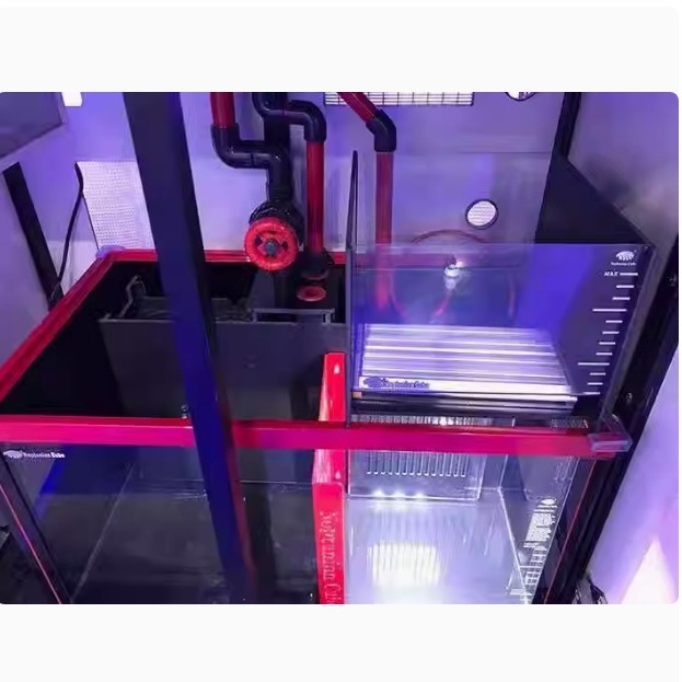 Neptunian Cube LED poklopac za tank algi — 10W, poticanje rasta algi, Sea Cube marka