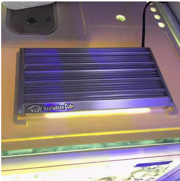 Neptunian Cube LED poklopac za tank algi — 10W, poticanje rasta algi, Sea Cube marka