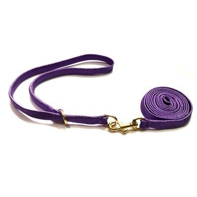 Najlon vodilica za obuku psa – Moe sale vučni pojas, pakiranje 50 komada, licencirana privatna marka dostupna