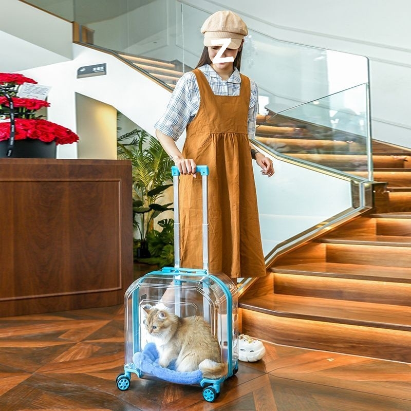 Пътна количка за домашни любимци за двама – голям капацитет, прозрачно дишащо отделение за котки, преносима