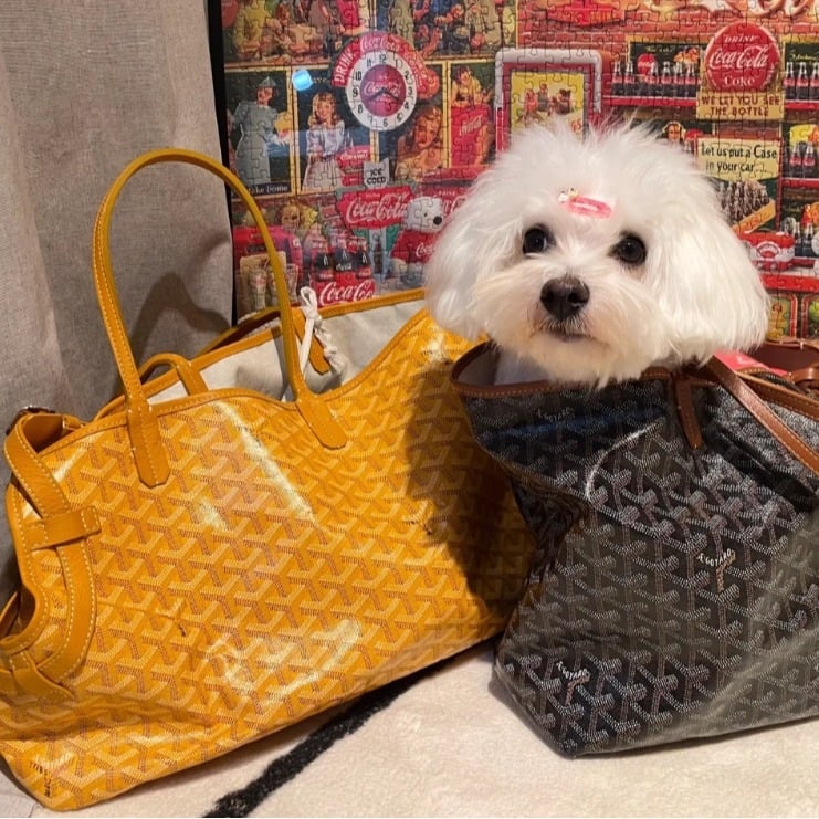 Чанта за домашни любимци — PU материал, ивици, модерен дизайн за разходки (PU материал; ивици; твърдост: средна до мека)