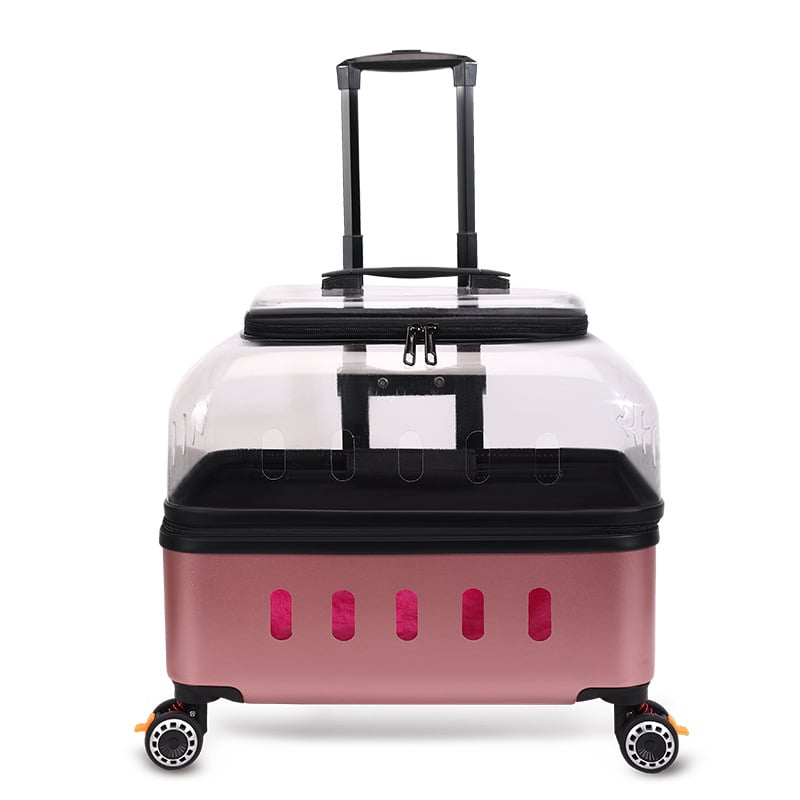 Чанта за домашни любимци с твърд корпус от PP за котки и кучета, капацитет 15, произход Хебей