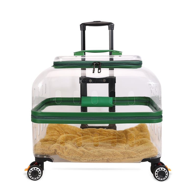 Чанта за домашни любимци с твърд корпус от PP за котки и кучета, капацитет 15, произход Хебей