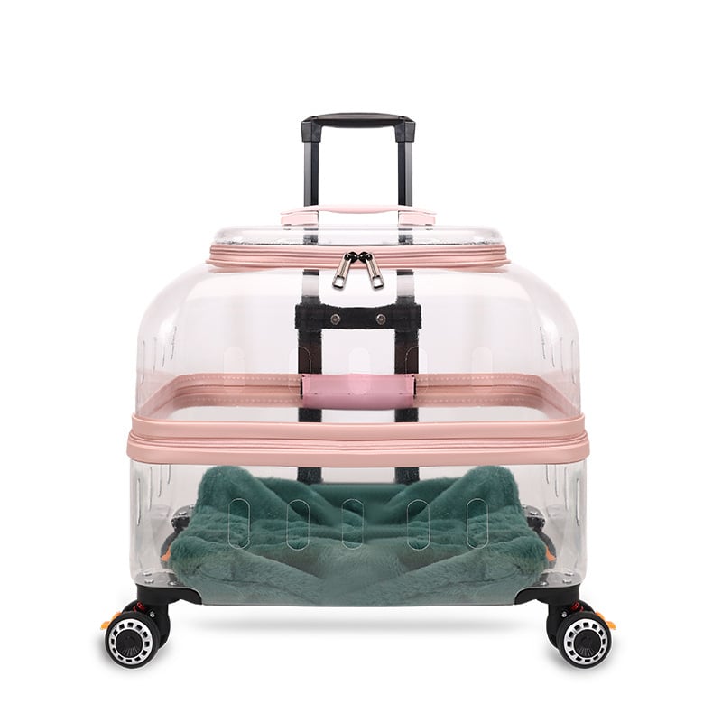 Чанта за домашни любимци с твърд корпус от PP за котки и кучета, капацитет 15, произход Хебей