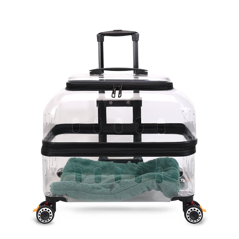 Чанта за домашни любимци с твърд корпус от PP за котки и кучета, капацитет 15, произход Хебей