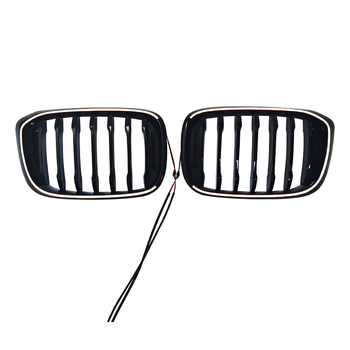 LED rešetka za BMW X3 G01, 2018–2021, ABS plast, ugradnja na radijator