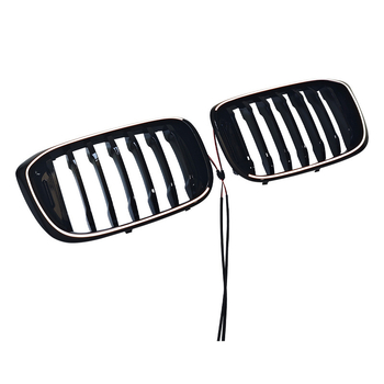 LED rešetka za BMW X3 G01, 2018–2021, ABS plast, ugradnja na radijator