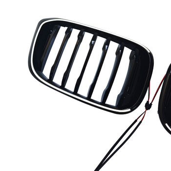 LED rešetka za BMW X3 G01, 2018–2021, ABS plast, ugradnja na radijator