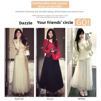 Duga puffasta suknja s 3D uzorkom, Spandex tkanina, bez glačanja, jesen 2025