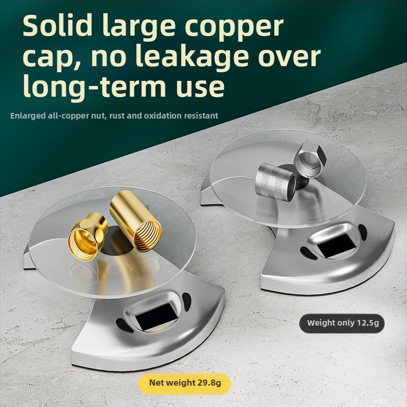 Σύνδεσμος σωλήνα ντους και κεφαλής από 304 ανοξείδωτο χάλυβα, μοντέλο 123, πίεση 1,6 MPa, θερμοκρασία λειτουργίας 0–100°C, εγκατάσταση με σύσφιξη, μοντέρνο μινιμαλιστικό στυλ