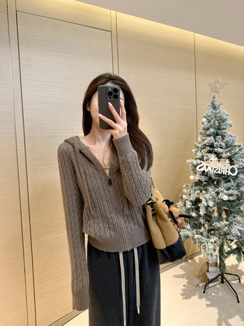 Ženski pleteni kardigan s kapuljačom i zipom, vuneno-poliester smjesa, uski kroj, standardna duljina, japansko-korejski casual stil