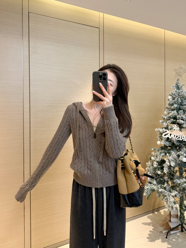 Ženski pleteni kardigan s kapuljačom i zipom, vuneno-poliester smjesa, uski kroj, standardna duljina, japansko-korejski casual stil