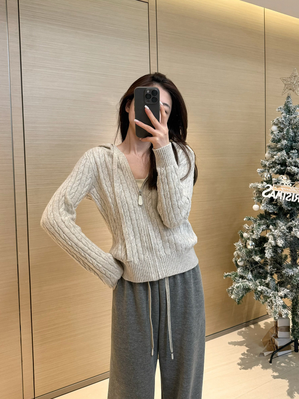 Ženski pleteni kardigan s kapuljačom i zipom, vuneno-poliester smjesa, uski kroj, standardna duljina, japansko-korejski casual stil