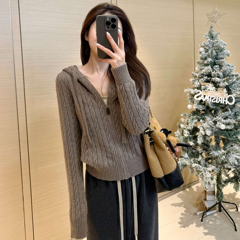 Ženski pleteni kardigan s kapuljačom i zipom, vuneno-poliester smjesa, uski kroj, standardna duljina, japansko-korejski casual stil